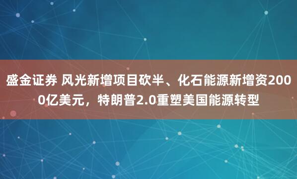 盛金证券 风光新增项目砍半、化石能源新增资2000亿美元，特朗普2.0重塑美国能源转型