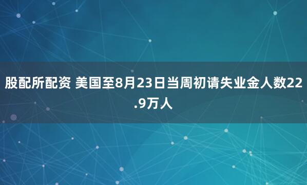 股配所配资 美国至8月23日当周初请失业金人数22.9万人