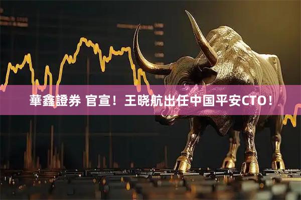 華鑫證券 官宣！王晓航出任中国平安CTO！