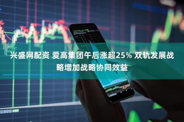 兴盛网配资 爱高集团午后涨超25% 双轨发展战略增加战略协同效益